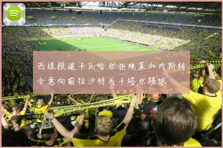 西媒报道卡瓦哈尔拒绝莱加内斯转会意向前往沙特或卡塔尔踢球